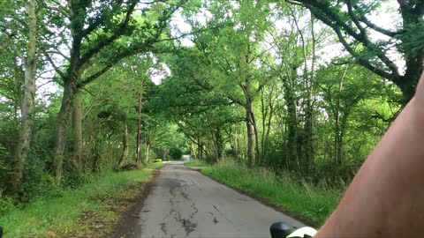 Tree Tunnels