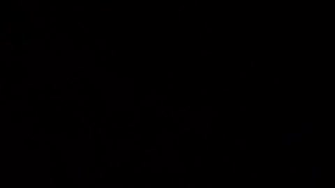 IS PUTIN PROTECTING 🤔 THE JEWISH ✡️