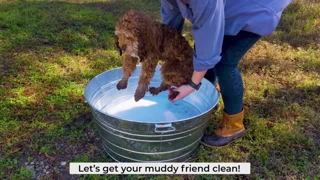 Less mess. Less Stress. Easiest way to bathe your pets!