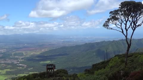 Wai'anae, HI — Mount Ka'ala Trail #1