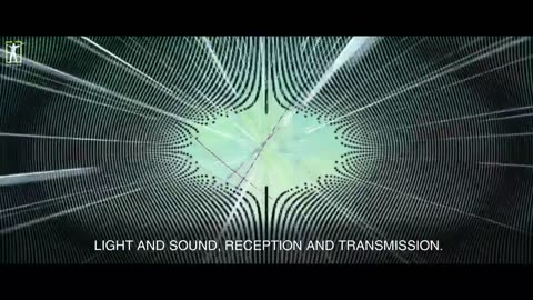 528 Hz: "It Will Transform Your Entire DNA"