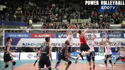 Craziest Players in Volleyball History