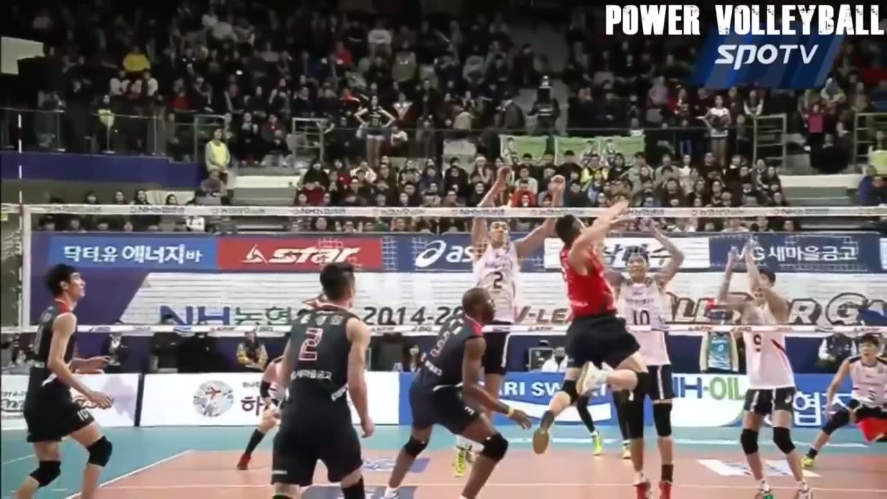 Craziest Players in Volleyball History