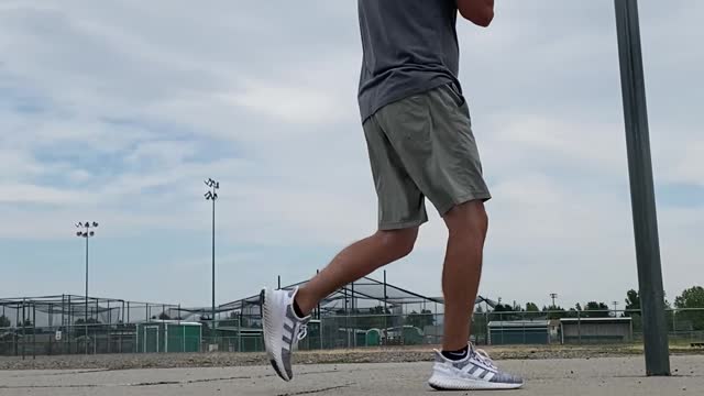 Dog Rebounding Basketball Jumps into Pole