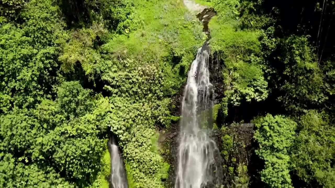 Amazon rainforest Cinematic || Brazil
