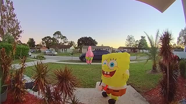 Spongebob Costume Makes Ringing Doorbell Difficult