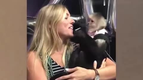 A monkey's love