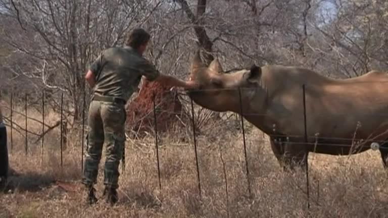 Ranger drone could help fight against rhino poaching