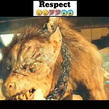 #Shorts#Respect 😡🔥 😎Respect