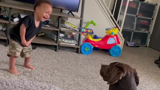 A wonderful dog that reads a baby's sense of humor