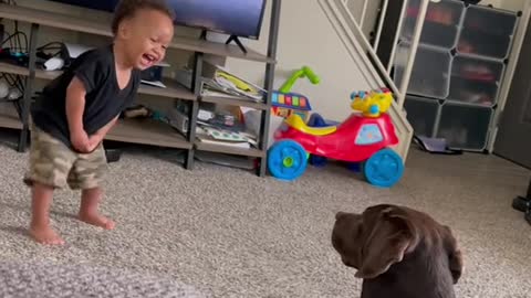 A wonderful dog that reads a baby's sense of humor