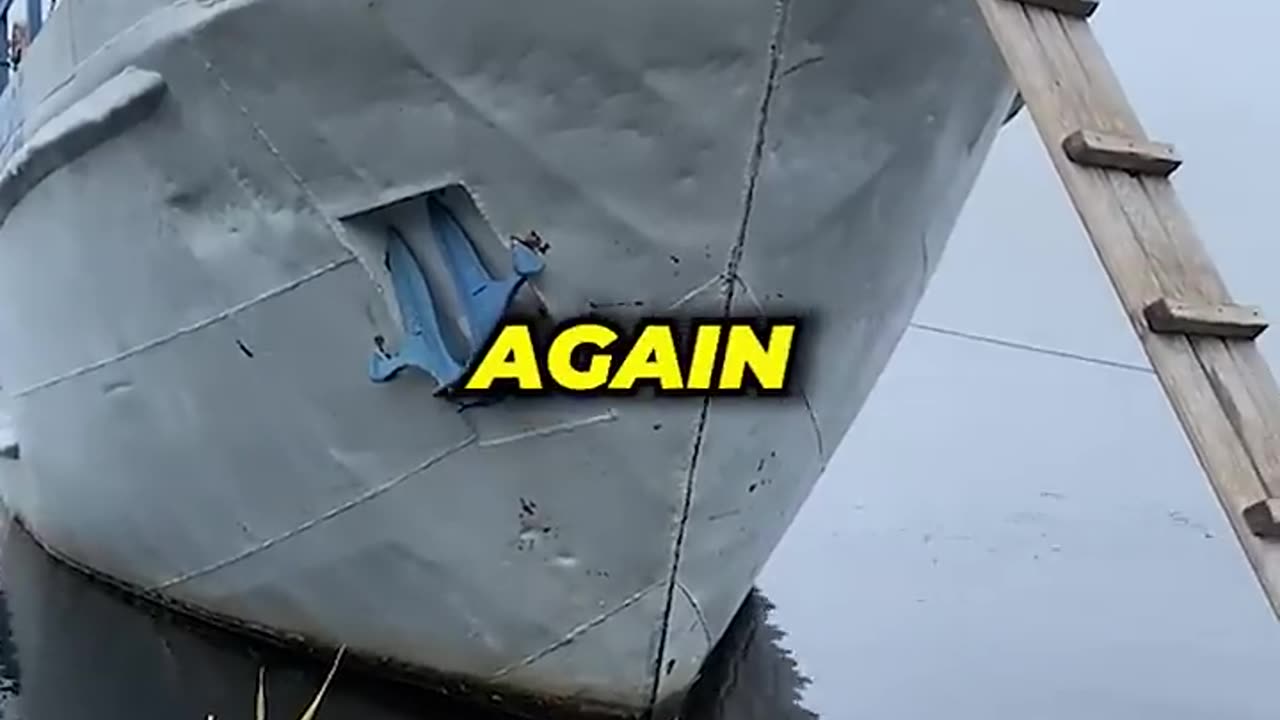 SMART DOG CLIMB LADDER TO BOARD A BOAT