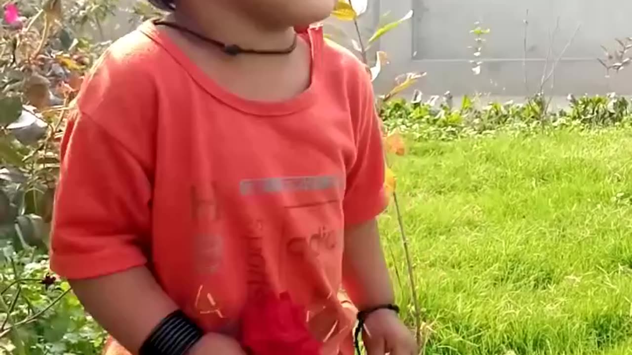 a little girl picking flowers after the flowers