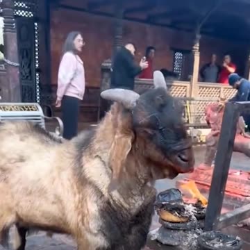 What are they doing?