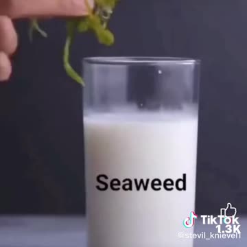 Stop eating processed foods