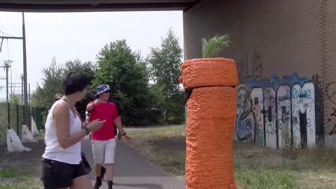 Funny Carrot Prank Videos - Funny Videos