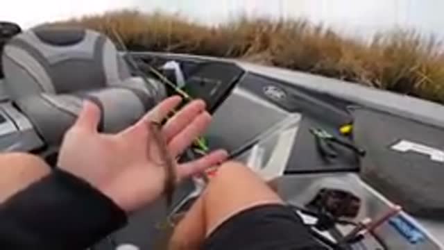 RECORD DAY OF FISHING (LOADED w/ GIANT FISH) PART2
