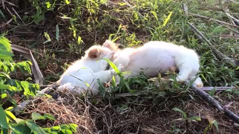 He really loves and cares for her after she was abandoned