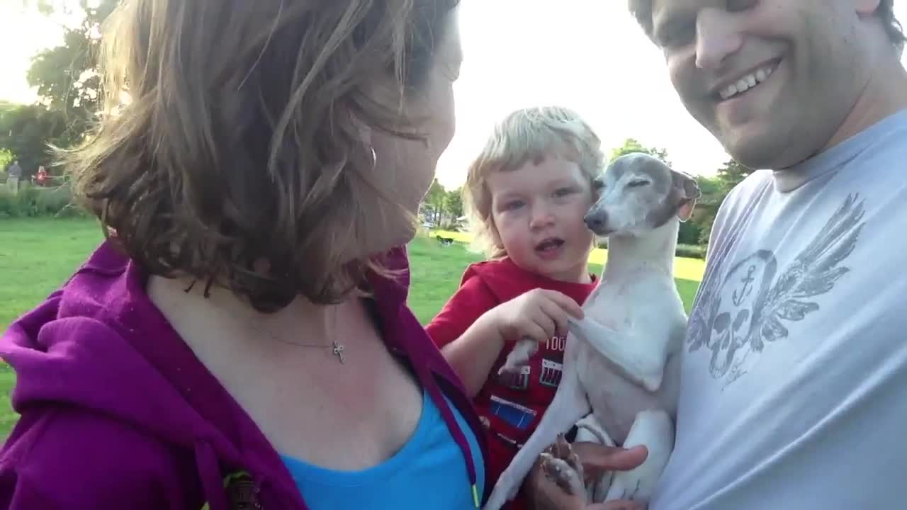 Toddler hugging his Iggy puppy