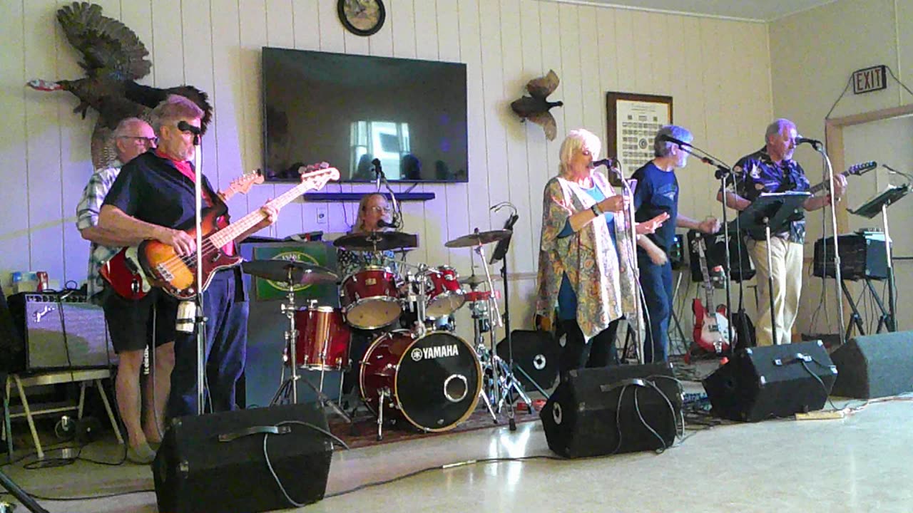 Night Owl Cats with Slim Chance and Drew