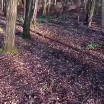 What would you do if you saw this? 😳