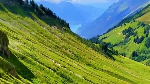 #brienzerrothorn #verliebtindieschweiz #swissbeautiful #sisiswiss