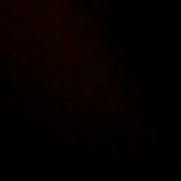 Xl Bully Ban and Animal Sex