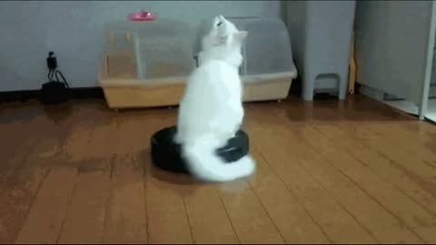 Being a Bully To Bubbleman...