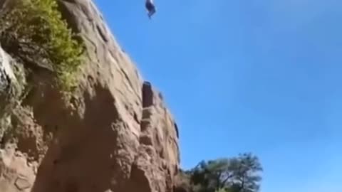 would you dare to jump?