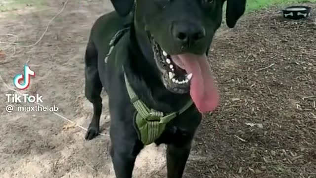 He’s here for you ladies 👏