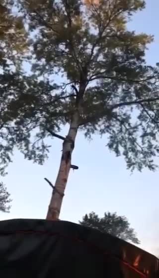 Dozens of Gerans flying around Kiev.