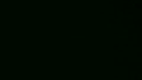 Arraigned and Arrested