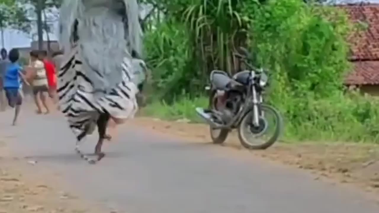 A funny 😁 😂 man