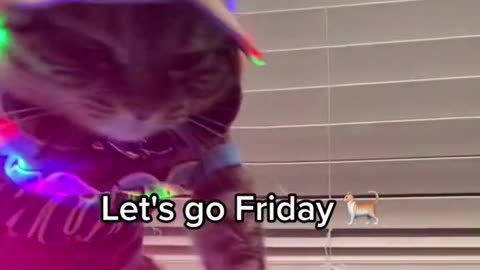let's go friday