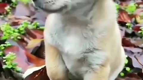 looking so cute