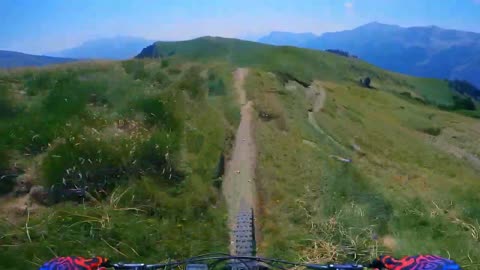 This Trail Brought 𝙏𝙚𝙖𝙧𝙨 To My Eyes