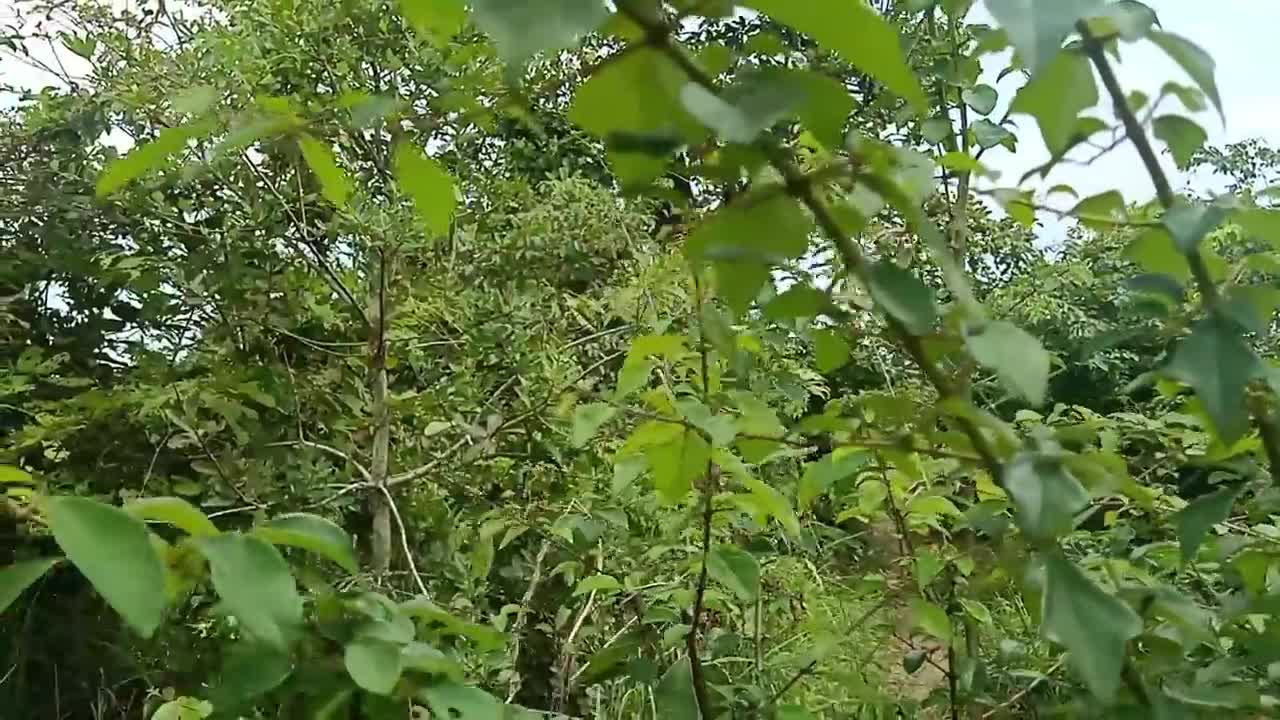 Build Mini House Using Wooden Brick And bamboo