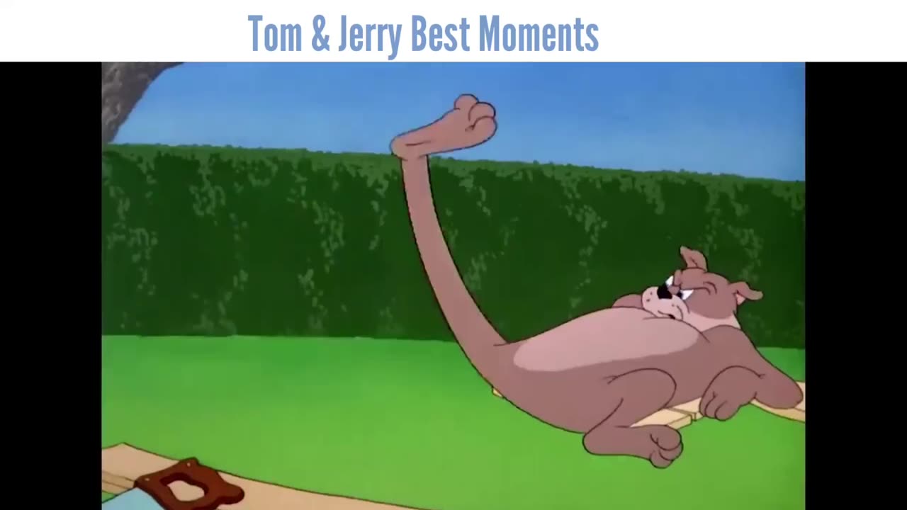 Tom & Jerry Cartoon Best Moments