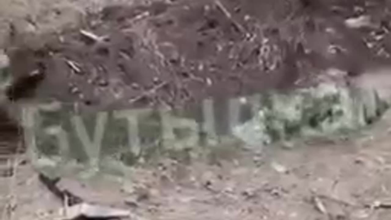 Ukrainian Nazi's bury their own soldiers alive for refusing to fight Russia. (Disturbing images)