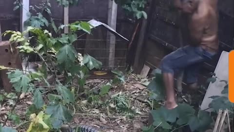 Collection of Funny Videos 📹 🤣 😄
