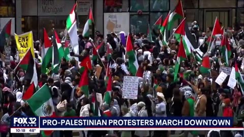 Chicagoans For Palestine Protest In The Loop For Second Straight Weekend