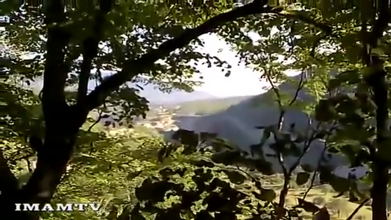 🔫 Conflict in Chechnya | Chechen Mujahideen Firing at Helicopters in Urus Martan Area (2010) | RCF