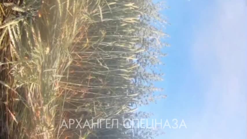 Footage of battalion commander Ivan Marchuk, call sign "Brest".