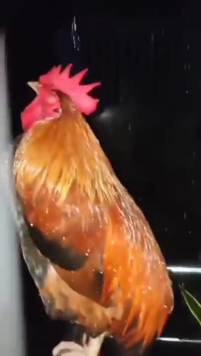 News Break: Gm gonna be one of those days