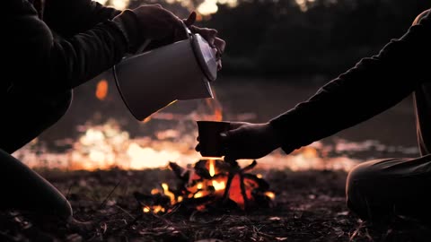 Forest Camping Beside The Lake