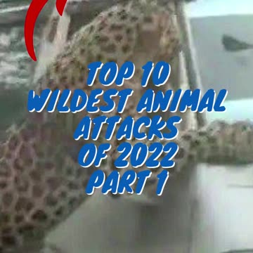 Top 10 Wildest Animal Attacks of 2022 Part 1