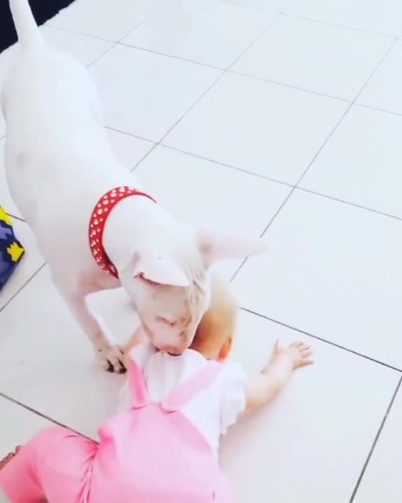 LOLA WAS ALWAYS NEXT TO MIMI.mp4