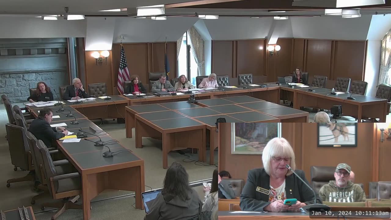 Trustee Sandra Panek of the NH House Drops Fire on 1/10/24