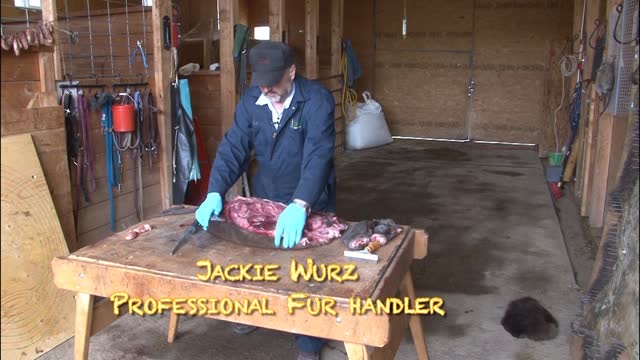Trapping Inc Season 1 Episode 10 Beaver through the ice