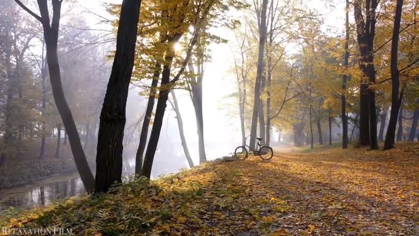 Nature Autumn 4K Relaxation Film Meditation Music, Beautiful Relaxing Music, Nature Sounds